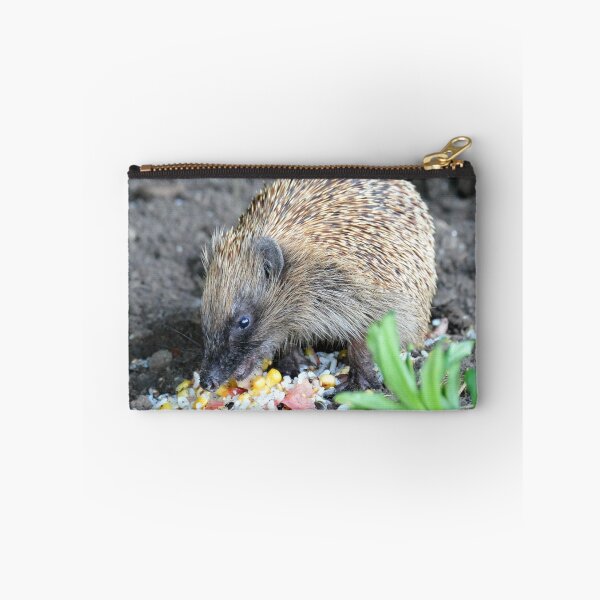 Item preview, I'm A Hungry Hog - Hedgehog - NZ designed and sold by AndreaEL.