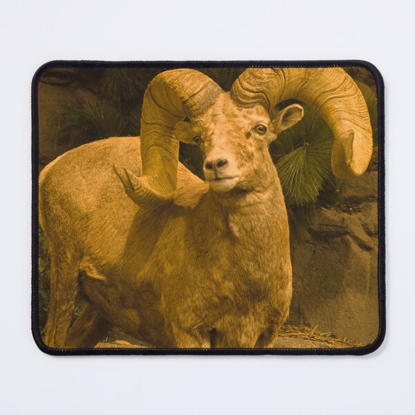 Item preview, ola big horn designed and sold by pcfyi.
