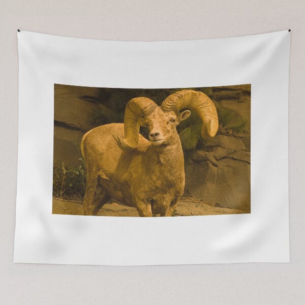 Item preview, ola big horn designed and sold by pcfyi.