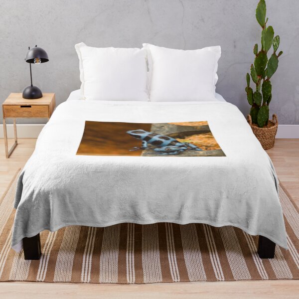 Item preview, ola blue frog garden designed and sold by pcfyi.