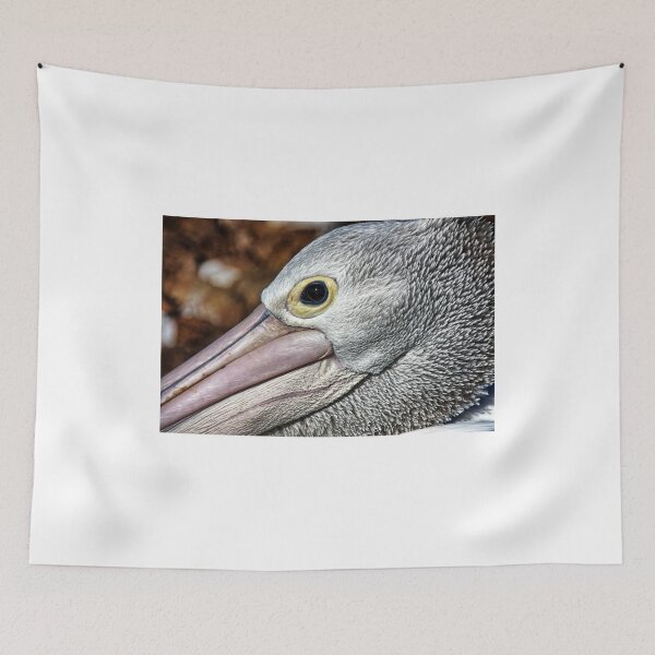 Item preview, I've got my eye on you. designed and sold by Ian Ramsay.