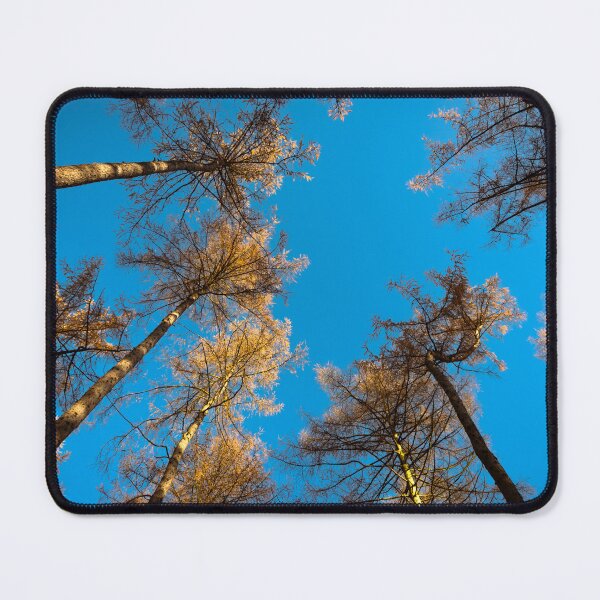 Item preview, Trees on the clear, blues sky background designed and sold by wojciech-c.