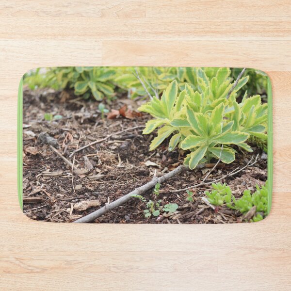 Item preview, Sedum Green designed and sold by ancientolivine.