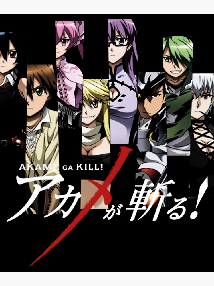 Akame Ga Kill Anime Night Raid Characters Premium Poster