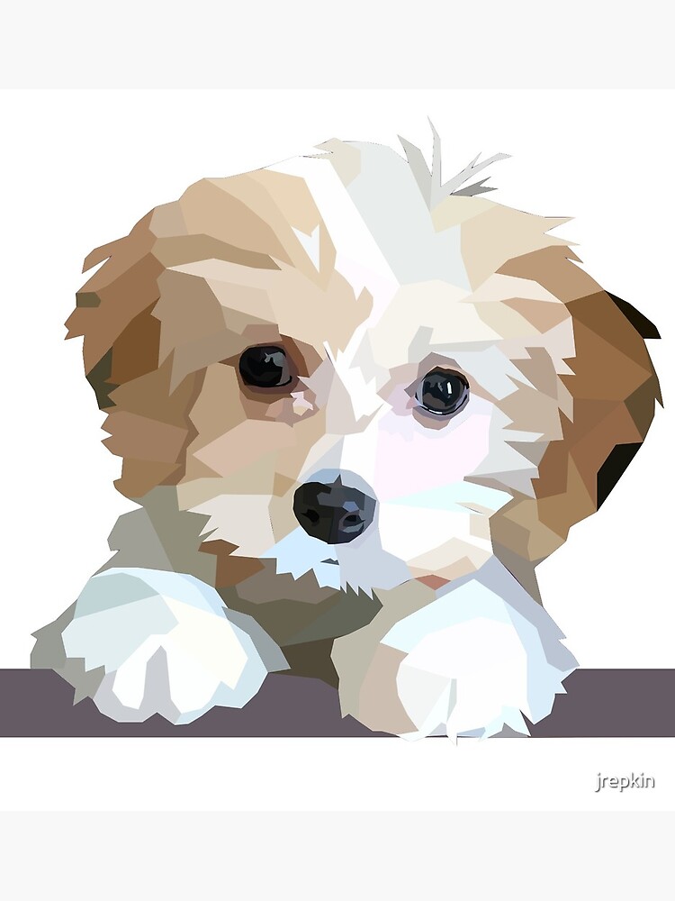 Cavapoo OR Cavachon Puppy Gift Card