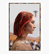 Lady Bird Poster Photographic Print