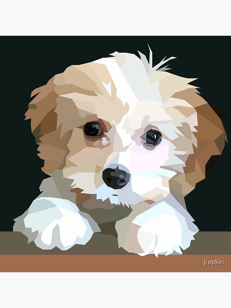 "Cute Cavachon Dog " Art Print for Sale by jrepkin | Redbubble