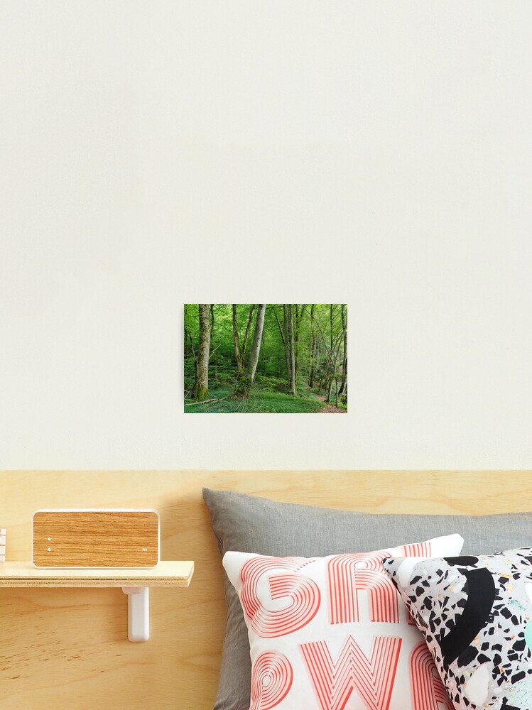 Thumbnail 1 of 3, Photographic Print, In the heart of the forest designed and sold by Patrick Morand.