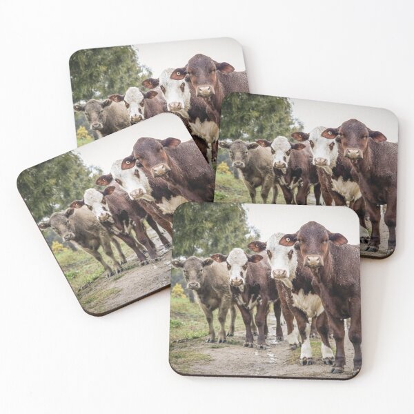 Item preview, Cows designed and sold by Jacquiamber.