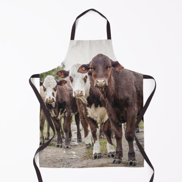Item preview, Cows designed and sold by Jacquiamber.