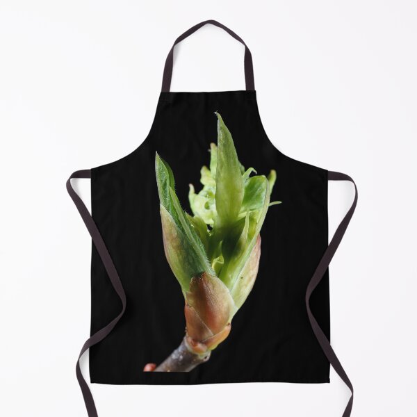 Item preview, Young leaf bud close-up designed and sold by SDym Photography.
