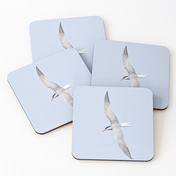Item preview, Common tern square designed and sold by Jouko Lehto Photography.