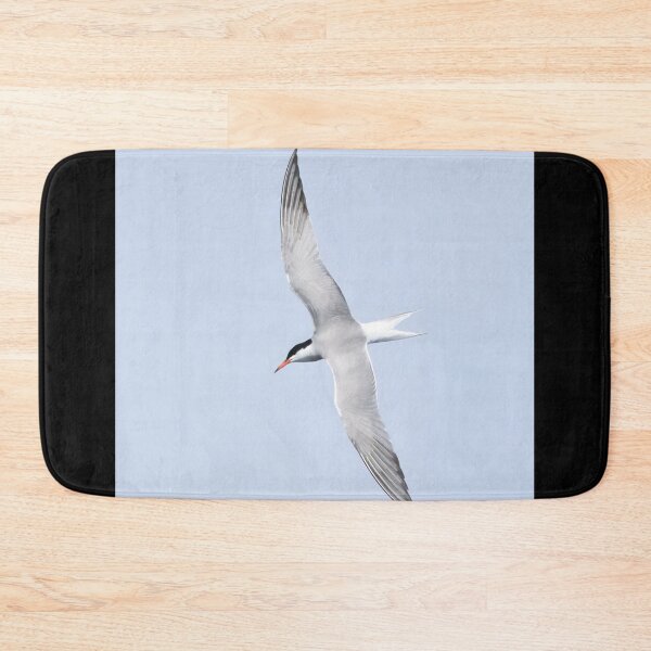 Item preview, Common tern square designed and sold by Jouko Lehto Photography.