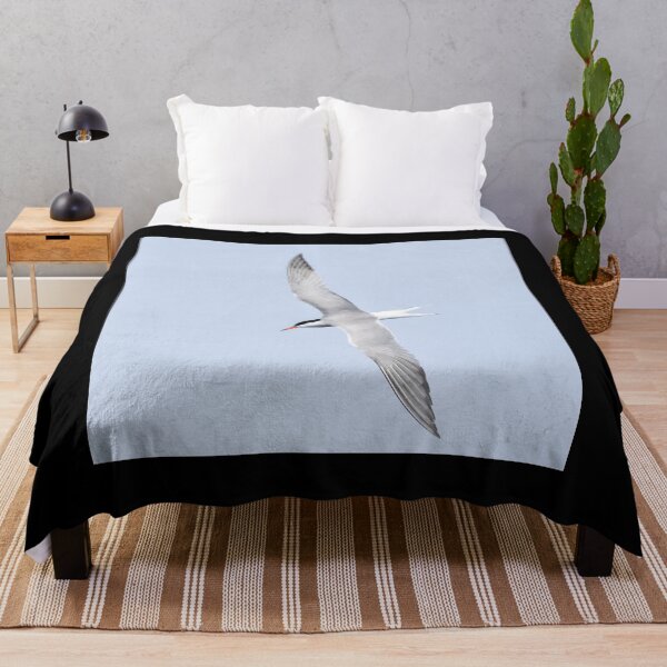 Item preview, Common tern square designed and sold by Jouko Lehto Photography.