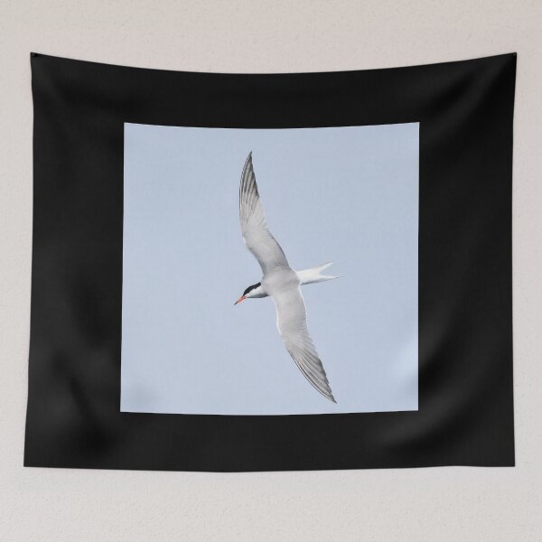 Item preview, Common tern square designed and sold by Jouko Lehto Photography.