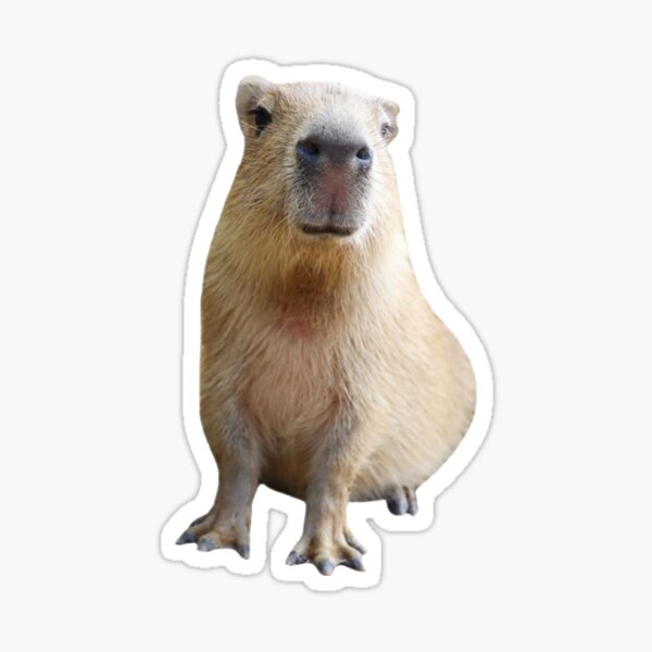 Adesivo Capivara Bebê - Capybaby