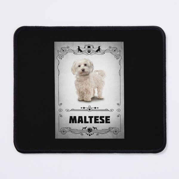 Item preview, Maltese designed and sold by BoKev.