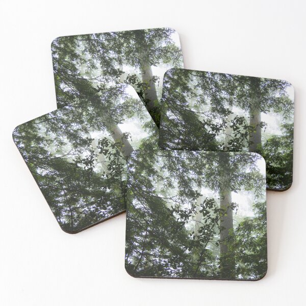 Item preview, Early Morning Redwood Foggy Forest Background designed and sold by Fenderbender00.