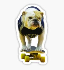 Jack the Bulldog Skateboarding Sticker