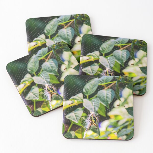 Item preview, Orb Spider in Floral Garden designed and sold by Fenderbender00.