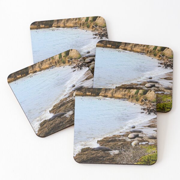 Item preview, Ano Nuevo Sea Lions resting on Beach Coastal View designed and sold by Fenderbender00.