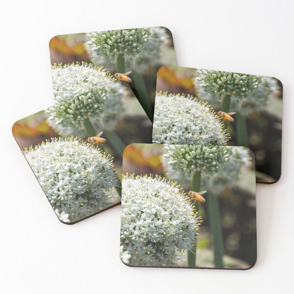 Item preview, Allium stipitatum 'White Giant" flower with bee designed and sold by Fenderbender00.