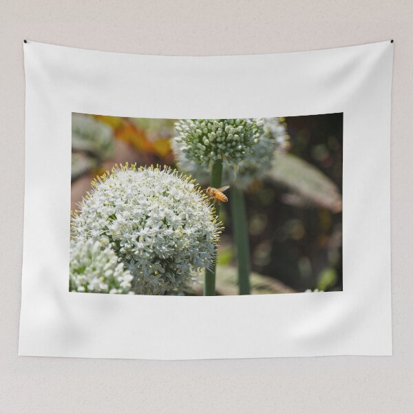 Item preview, Allium stipitatum 'White Giant" flower with bee designed and sold by Fenderbender00.