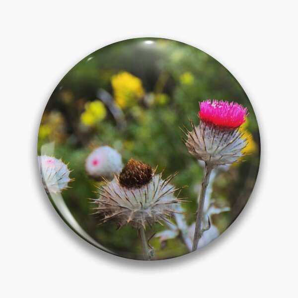Item preview, Bundle of Cobwebby Thistles Bush designed and sold by Fenderbender00.