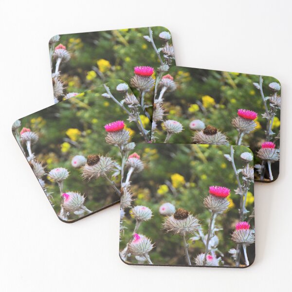 Item preview, Bundle of Cobwebby Thistles Bush designed and sold by Fenderbender00.