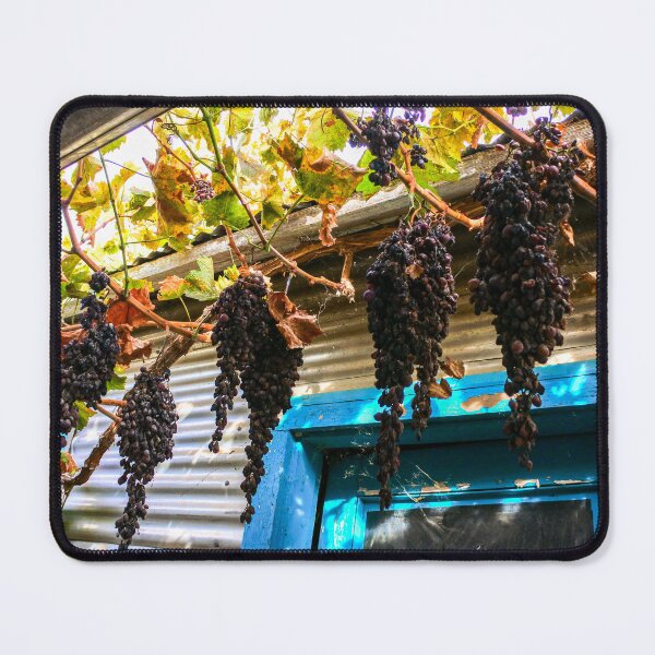 Item preview, California dried purple grapes hanging near farmhouse door designed and sold by Fenderbender00.
