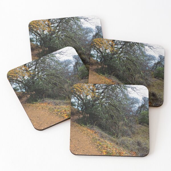 Item preview, path in autumn forest hiking trail designed and sold by Fenderbender00.