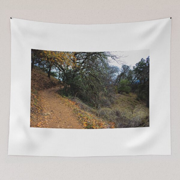 Item preview, path in autumn forest hiking trail designed and sold by Fenderbender00.