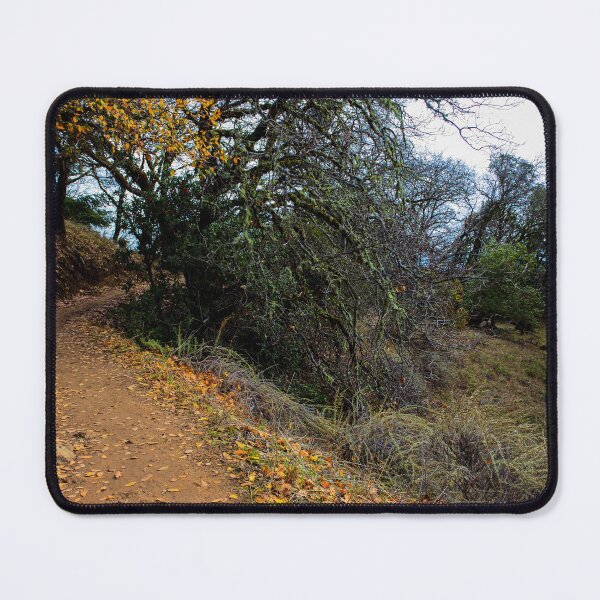 Item preview, path in autumn forest hiking trail designed and sold by Fenderbender00.
