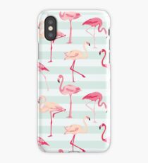 Flamingo Bird Retro Background iPhone Case