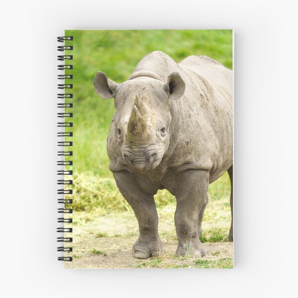 Item preview, Peaceful Rhino designed and sold by rawshutterbug.