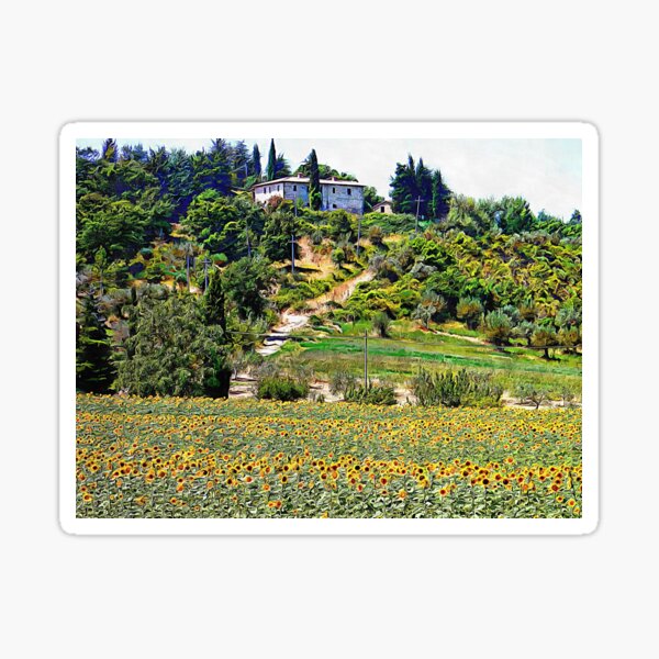Midday Sunflowers Sticker