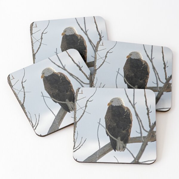Item preview, Back Drop designed and sold by Katagram.