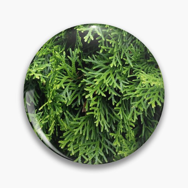 Artikelvorschau, Vollformatiger weißer Zedernbaum, Nahaufnahme eines Originalkunstwerks entworfen und verkauft von paragonDesign28.