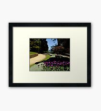 "Everglades" Leura Framed Print
