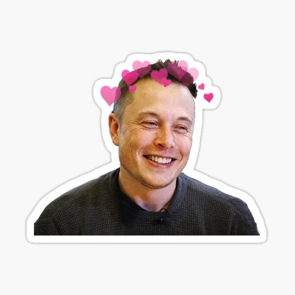 Elon Musk - w hearts Sticker