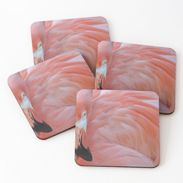 Item preview, Flamingo Resting designed and sold by Evelynsphoto.