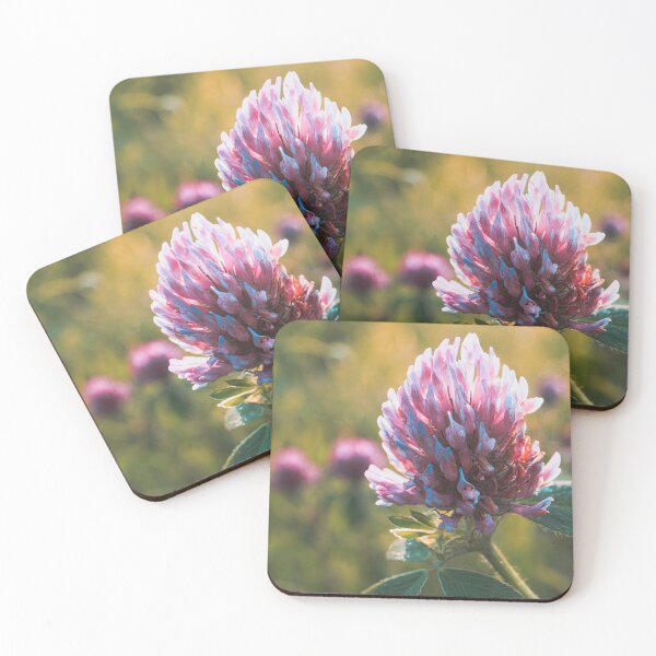 Item preview, Clover Flower at Sunrise V2 designed and sold by Family Journey with God.