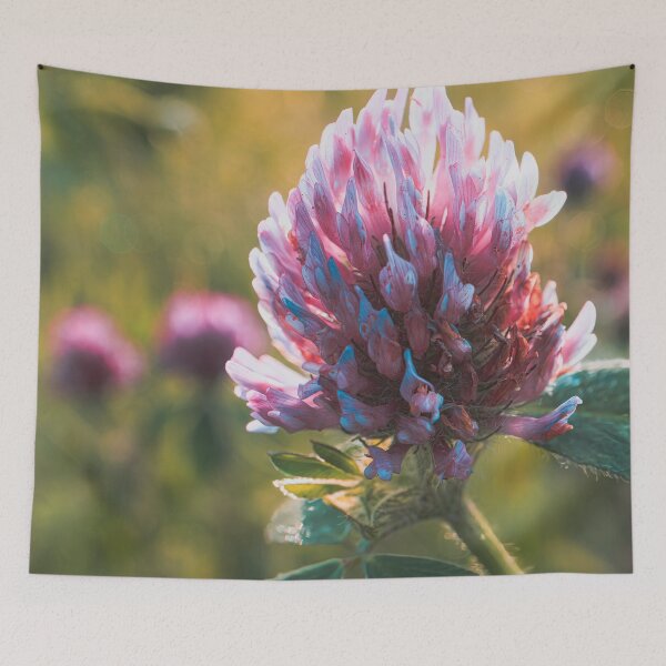 Item preview, Clover Flower at Sunrise V2 designed and sold by Family Journey with God.