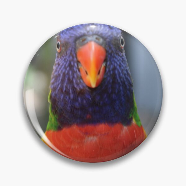 Item preview, Lory Bird, waiting for food designed and sold by Evelynsphoto.