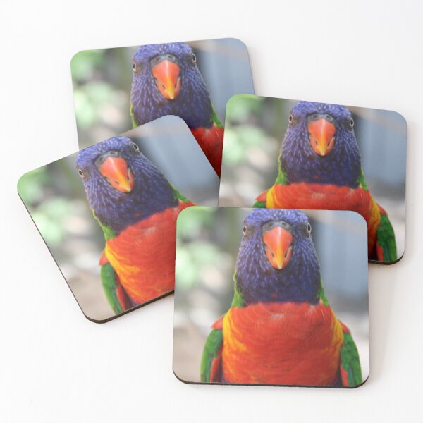 Item preview, Lory Bird, waiting for food designed and sold by Evelynsphoto.
