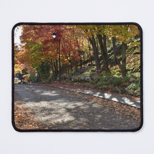 Item preview, A country road in the fall designed and sold by Claude Laprise.