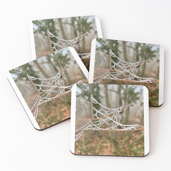 Item preview, UniquelyLaurel, Winter cobweb outdoors, photograph, damp in the Forest of Dean designed and sold by UniquelyLaurel.