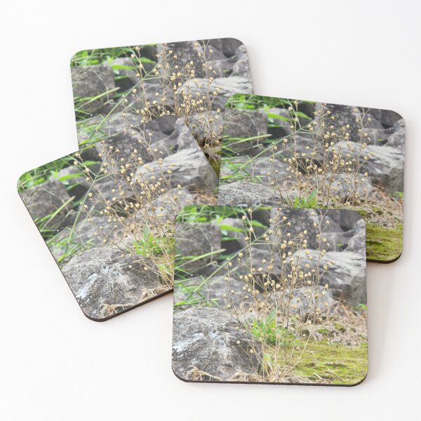 Item preview, Life out of moss designed and sold by Skippyart7597.