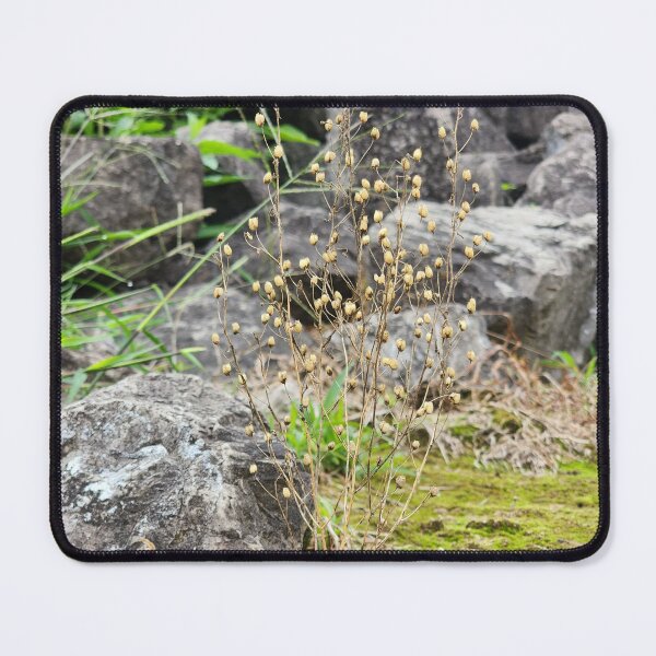 Item preview, Life out of moss designed and sold by Skippyart7597.
