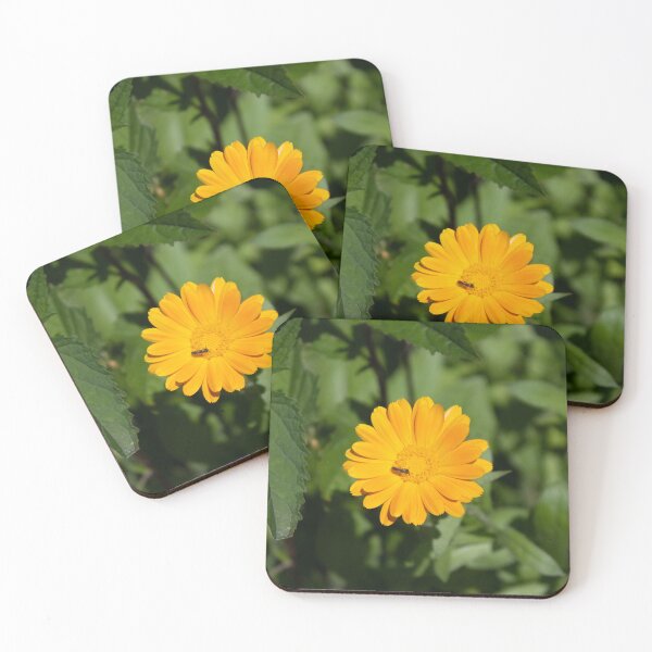 Item preview, beautifull flower designed and sold by guyfrompoland.
